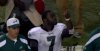 vick.jpg