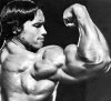 arnold.jpg
