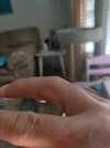 IMG_20230711_085447.jpg