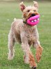 squeaky-geeky-toy-300.jpg