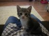 Lilly My Sweetheart.jpg