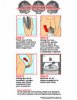 i-mockery-seashells-print-thumb.jpg