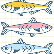Sardines