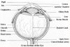 fig3-44cBG.jpg