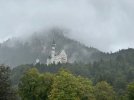 IMG_2555.jpg