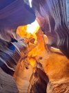 IMG_7922.jpeg